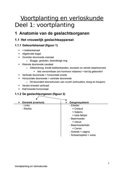 V V Anatomie Voortplanting En Verloskunde Deel 1 Voortplanting 1