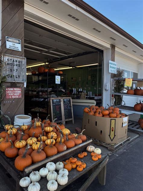 Fall Farmer’s Market | Farmers' market, Food, Vegetables