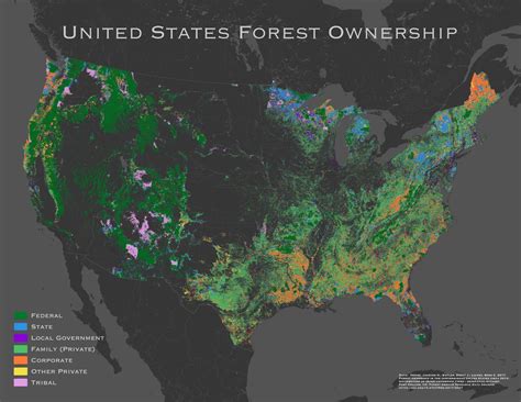 The forest cover of the United States mapped - Vivid Maps