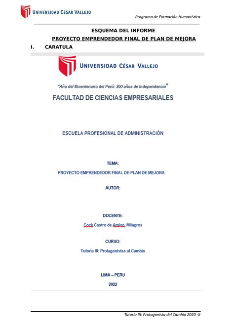 Esquema Del Proyecto Emprendedor Tutoria Iii Esquema Del Informe