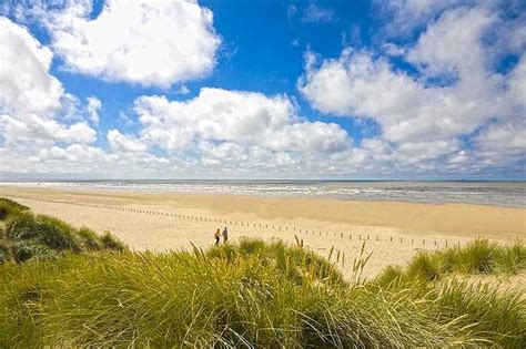 Ainsdale Sand Dunes National Nature Reserve | Natureflip