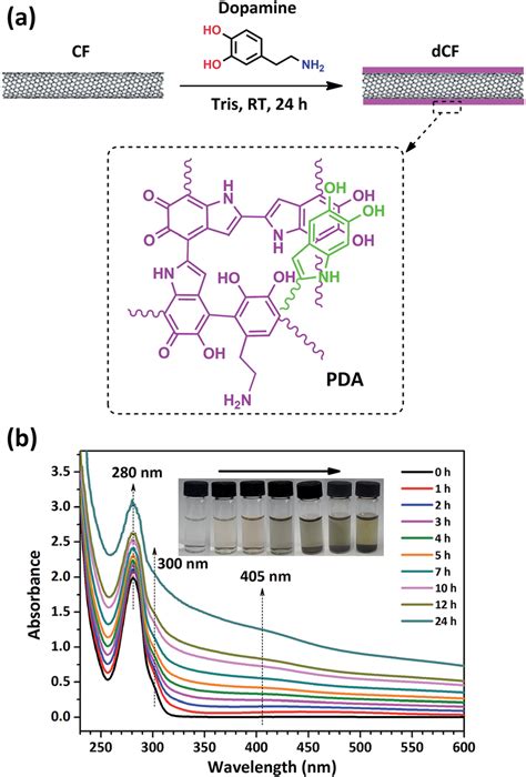 A Schematic Of The Dipping Process And The Structure Of Pda B