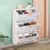 Corrigan Studio 24 Pairs Shoe Storage Cabinet Wayfair