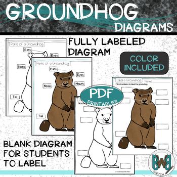 Parts of a Groundhog Diagram Poster and Student Pages by Backwoods Barn ...