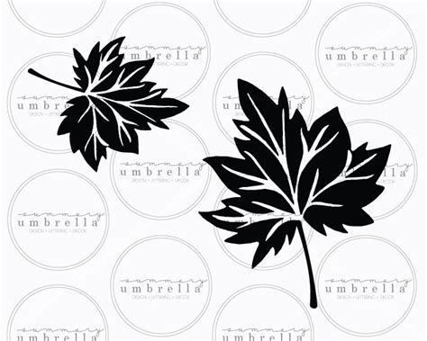 Fall Leaves SVG Cut File | LZ Cathcart