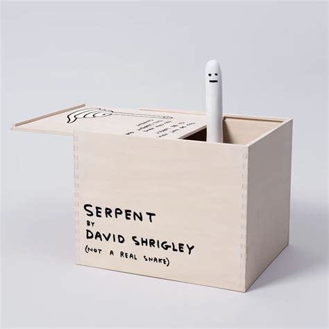 David Shrigley Serpent The Drang Gallery