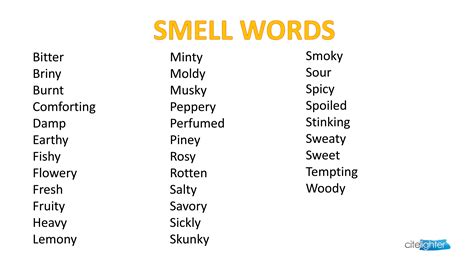 What Is That Smell Minty Moldy Smoky Make The Difference In Your