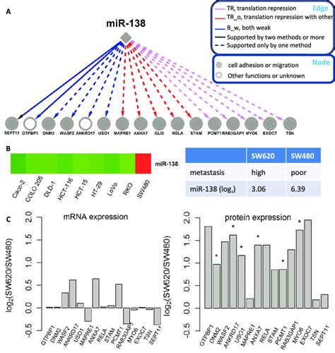 Mir And Its Target Genes A Interactions Between Mir And Its