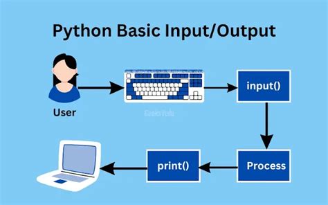 How To Use The Input And Output Functions In Python