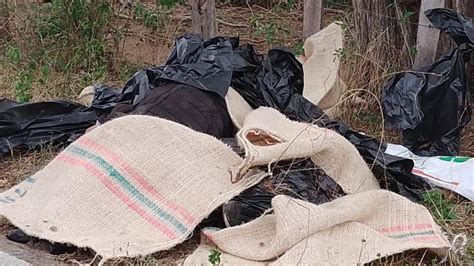 Aterrador Hallan cuatro cadáveres metidos en bolsas negras en Dibulla