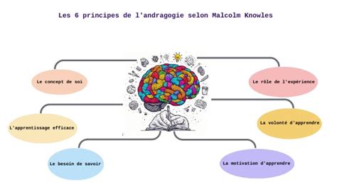 Carte Mentale Principes Andragogie