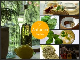 Astuces Pour Cuisiner Les L Gumes Et Les Herbes En Entier Arctic Gardens