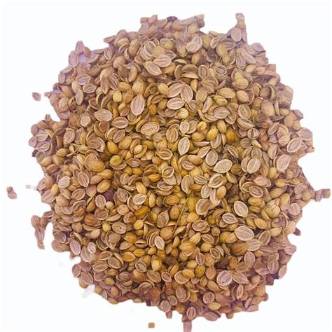 Scooter Coriander Seed Latest Price Manufacturers Suppliers