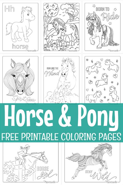 101 Horse Coloring Pages For Kids And Adults Free Printables