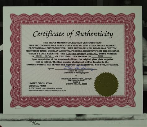 Bruce Murray Collection Babe Ruth Final Game May 30th 1935 11x14 Photo