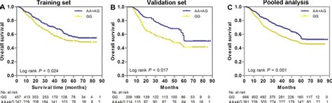 Kaplan Meier Estimates Of Overall Survival Os For Gastric Cancer Gc