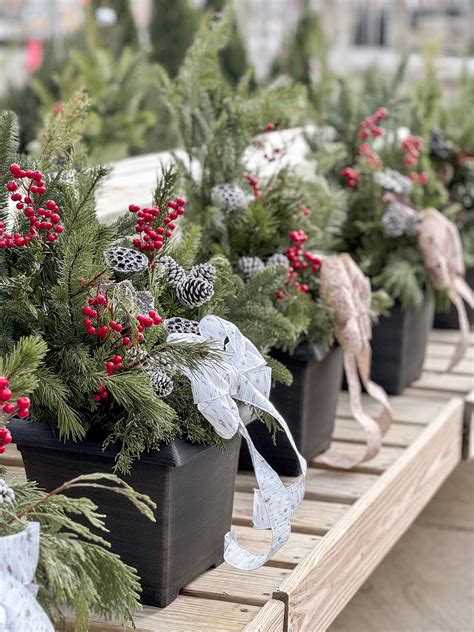 Winter Porch Pots - Berns Garden Center