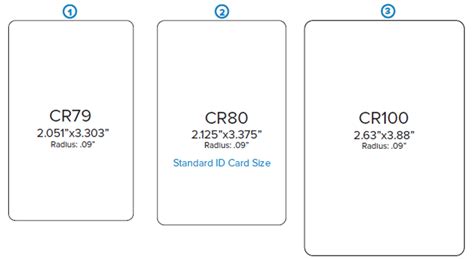 Wallet Size Photo Dimensions In Inches | Literacy Basics