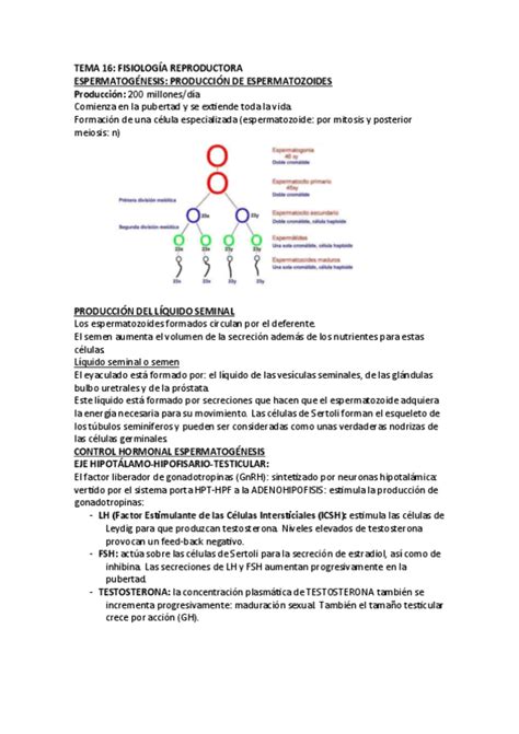 Tema 16 Fisio Pdf