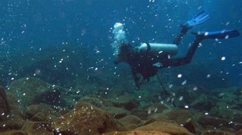 Penampakan Gunung Bawah Laut Yang Ditemukan Di Perairan Pacitan