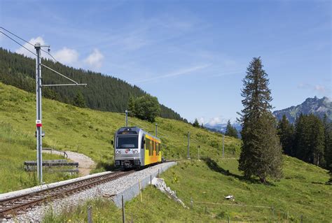 Be Der Blm Zwischen Gr Tschalp Und Winteregg