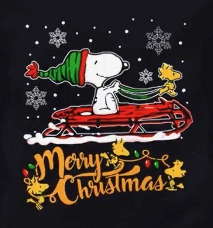 Pin By Luis Mendoza On Lluvia Snoopy Christmas Merry Christmas