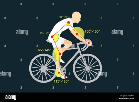 Bike fitting guideline Stock Vector Image & Art - Alamy