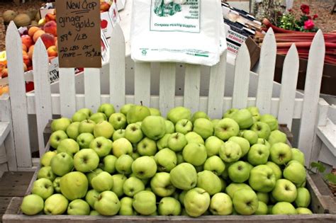 How To Store Apples For Winter One Hundred Dollars A Month