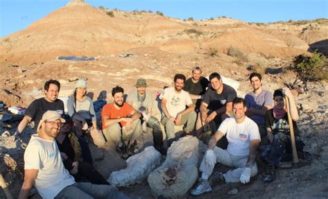 Descubren Un Dinosaurio Herbívoro Gigante En La Patagonia Argentina