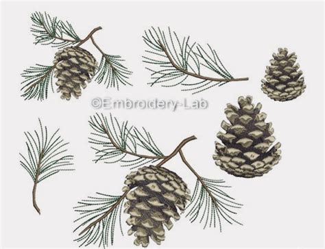 31 000 Pine Cone Illustrations Royalty Free Vector Graphics Clip Art Artofit