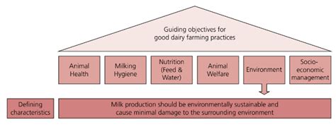 Guide to good dairy farming practice: Environment | The Dairy Site