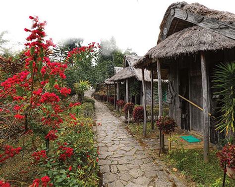 Home Tourism Nagaland Gov In