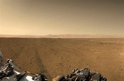 Mars Rover Found Life