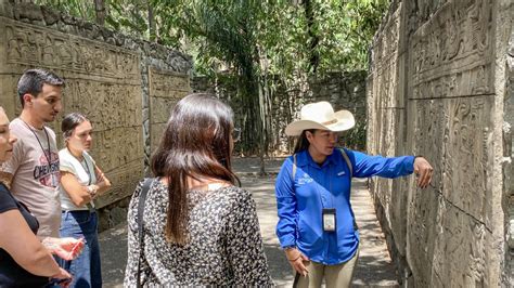 Ciudad De México Visita Guiada Al Museo De Antropología Getyourguide