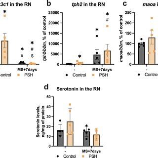 The Effect Of Psh And Mild Stress On Mrna Levels Of The Glucocorticoid