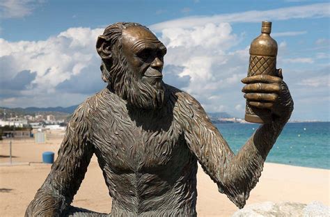THE 15 BEST Things to Do in Badalona (2025) - Must-See Attractions