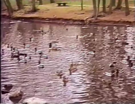 Dolly Parton Porn Videos 2026 Porn Star Sex Scenes XHamster