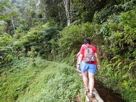 Panduan Lengkap And Terkini Ke Curug Kiara Di Pamijahan Bogor