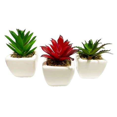 Kit Mini Suculentas Plantas Artificiais Vaso De Ceramica Escorrega