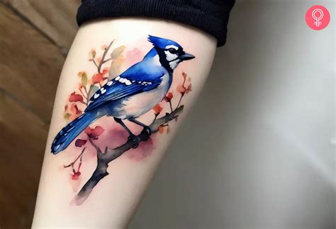 8 Amazing Blue Jay Tattoo Designs With Meaning Tattoo Style