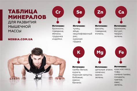 7 ВАЖНЫХ МИНЕРАЛОВ ДЛЯ РАЗВИТИЯ МЫШЦ. КАК ПОСТРОИТЬ СВОЕ ТЕЛО. Витамины ...
