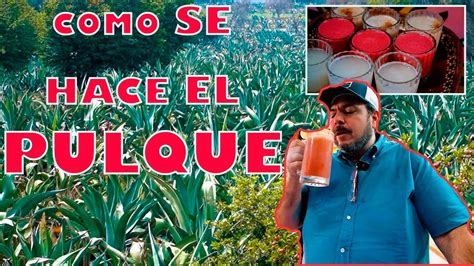 Pulque Como Se Hace Desde Cero L La Vaquita Youtube