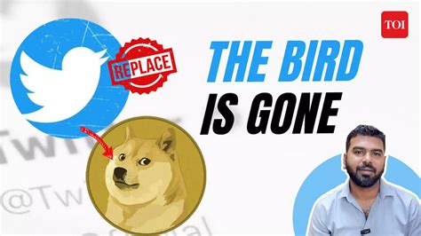 Elon Musk Replaces Twitters Blue Bird Logo With Doge Meme Here Is Why