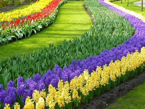 Celebrate Spring with Keukenhof Gardens - Petite Haus