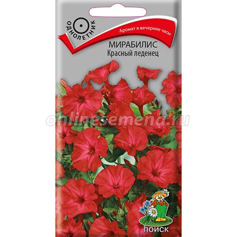 Мирабилис Красный леденец из каталога Семена цветов – купить с ...