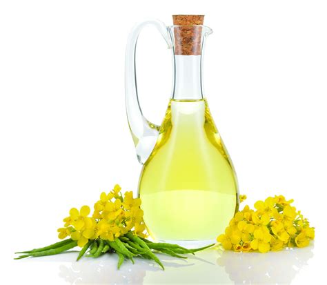 Óleo De Canola Faz Mal - Myth of the Month: Canola oil is bad for you and should be avoided ...