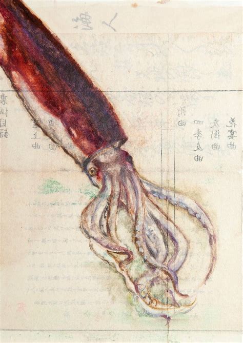 Squid Painting At Paintingvalley Explore Collection Of Squid Painting