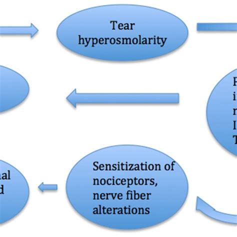 Pathophysiology Of Dry Eye Disease Download Scientific Diagram