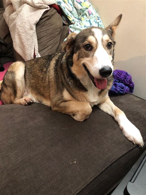 New shops at keele and eglinton are surprisingly popular with locals 6