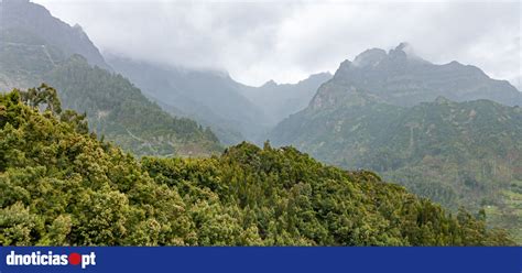 Madeira E Porto Santo Sob Aviso Amarelo Devido A Aguaceiros Dnoticias Pt